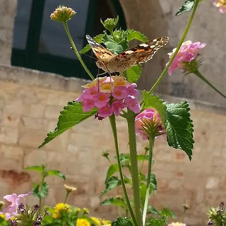 Country house Masseria Sant'elia *
