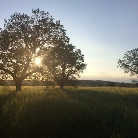 Masseria Sant'elia Country house *